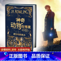 [正版]神奇动物在哪里原创电影剧本 哈利波特作者JK罗琳 哈利波特系列衍生剧现当代文学奇幻冒险小说青少年阅读