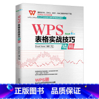 [正版]WPS 表格实战技巧精粹 Excel Home 编著 北京大学出版社