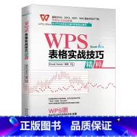 [正版]WPS 表格实战技巧精粹 Excel Home 编著 北京大学出版社