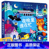 [正版]尤斯伯恩奇妙发声书 夜晚里谁在忙 usborne儿童绘本0-1到2-3周岁宝宝有声立体书婴儿早教阅读故事书籍幼儿