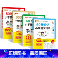 语文+数学+英语+单词[全套4本] 小学升初中 [正版]60天速记小学语文知识小升初数学英语单词词汇六年级总复习基础重点