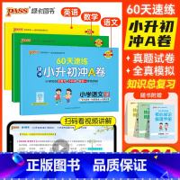 数学(通用版)[带解题视频] 小学升初中 [正版]2024新版小升初真题卷绿卡小升初冲A卷60天速练语文数学英语真题测试