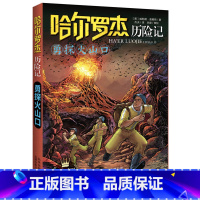 勇探火山口 [正版]全套18册 哈尔罗杰历险记礼盒典藏版 亚马孙探险/勇探火山口 南海奇遇 儿童科幻冒险小说成长课外书儿