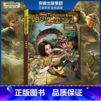 新版 从林寻蟒 [正版]全套18册 哈尔罗杰历险记礼盒典藏版 亚马孙探险/勇探火山口 南海奇遇 儿童科幻冒险小说成长课外