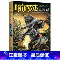 巧捕白象 [正版]全套18册 哈尔罗杰历险记礼盒典藏版 亚马孙探险/勇探火山口 南海奇遇 儿童科幻冒险小说成长课外书儿童