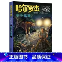 智斗猛兽 [正版]全套18册 哈尔罗杰历险记礼盒典藏版 亚马孙探险/勇探火山口 南海奇遇 儿童科幻冒险小说成长课外书儿童