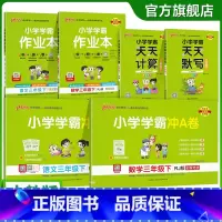 6本套[作业本+冲A卷+计算默写] 三年级下 [正版]2025年新版小学三年级学霸冲A卷作业本天天计算默写上册下册语文数