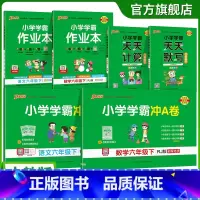 学霸6本套[学霸作业本+冲A卷+天天计算默写] 六年级上 [正版]2025年新版小学六年级学霸冲A卷作业本天天计算默写上