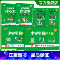 学霸6本套[学霸作业本+冲A卷+天天计算默写] 六年级下 [正版]2025年新版小学六年级学霸冲A卷作业本天天计算默写上