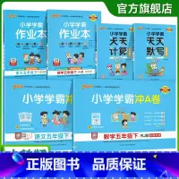 学霸6本套[学霸作业本+冲A卷+天天计算默写] 五年级上 [正版]2025年新版小学五年级学霸冲A卷作业本天天计算默写上