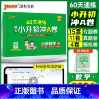 速记+速练[数学]2本 小学升初中 [正版]2024新版绿卡小升初冲A卷数学60天速练真题测试卷系统总复习小学升初中小考
