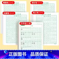 [上册]同步字帖5上+优美字帖一 [正版]五年级上册字帖语文同步练字帖人教版小学生硬笔书法练字本楷书笔画笔顺儿童铅笔描红