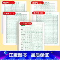 [下册]同步字帖6下+优美字帖二 [正版]六年级上册练字帖人教版语文字帖同步小学生硬笔书法练字本楷书笔画笔顺儿童铅笔描红