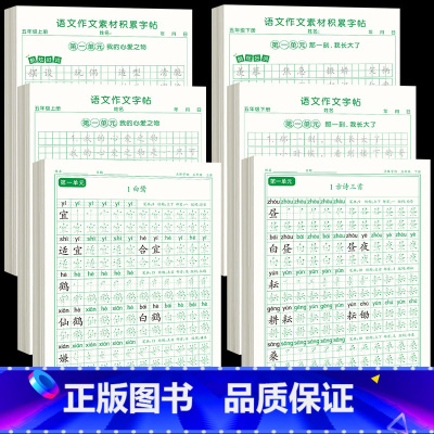 [上下册]同步字帖5上下+同步作文字帖+素材积累字帖 [正版]五年级上册字帖语文同步练字帖人教版小学生硬笔书法练字本楷书