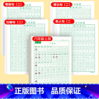 [上册]同步字帖6上+优美字帖二 [正版]六年级上册练字帖人教版语文字帖同步小学生硬笔书法练字本楷书笔画笔顺儿童铅笔描红