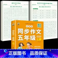 [5年级上册]同步作文+同步作文字帖+素材积累字帖 [正版]五年级上册同步作文语文练字帖人教版同步满分作文素材积累字帖小
