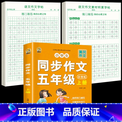 [5年级上册]同步作文+同步作文字帖+素材积累字帖 [正版]五年级上册同步作文语文练字帖人教版同步满分作文素材积累字帖小