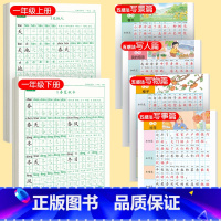 [上下册]同步字帖1上下+五感法字帖 [正版]一年级练字字帖小学生上册下册同步练字帖语文人教版口算天天练硬笔书法练字本楷