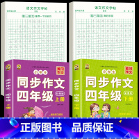 [上册+下册]同步作文+同步作文字帖 小学四年级 [正版]四年级上册同步作文人教版2024语文同步练字帖满分作文积累素材