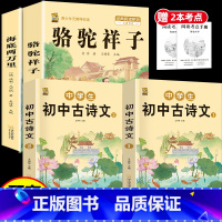 [4本]骆驼+海底+初中完整古诗文2本 [正版]骆驼祥子和海底两万里七年级下册必读课外书原著书老舍钢铁是怎样炼成的人教完