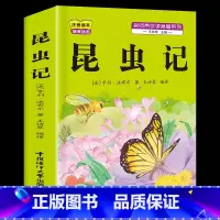 昆虫记 [正版]昆虫记小学生注音版木偶奇遇记三年级上册下册必读课外书人教版老师上学期小学生阅读的稻草人安徒生童话格林童话