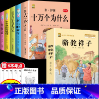 [6本]四下5本+骆驼祥子 [正版]十万个为什么米伊林四年级下册阅读课外书必读灰尘的旅行高士其书目快乐读书吧爷爷的爷爷哪