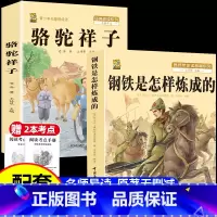 [新版必读2本]骆驼祥子+钢铁是怎样炼成的+考点2本 [正版]骆驼祥子和海底两万里七年级下册必读课外书原著书老舍钢铁是怎