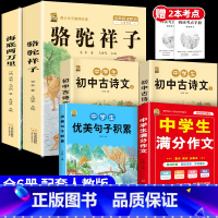 [6本]骆驼+海底+优美句子+满分作文+古诗文2本 [正版]骆驼祥子和海底两万里七年级下册必读课外书原著书老舍钢铁是怎样