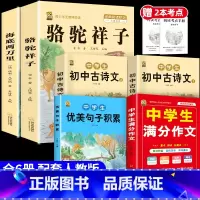[6本]骆驼+海底+优美句子+满分作文+古诗文2本 [正版]骆驼祥子和海底两万里七年级下册必读课外书原著书老舍钢铁是怎样