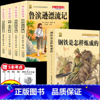 [5本]六下4本+钢铁是怎样炼成的 [正版]鲁滨逊漂流记六年级下册必读的课外书快乐读书吧尼尔斯骑鹅旅行记爱丽丝梦游仙境原
