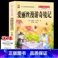 [1本]爱丽丝漫游奇境记 [正版]鲁滨逊漂流记六年级下册必读的课外书快乐读书吧尼尔斯骑鹅旅行记爱丽丝梦游仙境原著完整版漫
