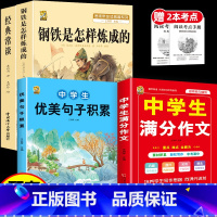 [4本]钢铁+经典+中优美+中满分 [正版]钢铁是怎样炼成的初中原著经典常谈朱自清八年级下册必读课外书人教版阅读名著老师
