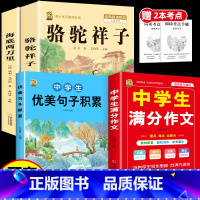 [4本]骆驼+海底+优美句子+满分作文 [正版]骆驼祥子和海底两万里七年级下册必读课外书原著书老舍钢铁是怎样炼成的人教完