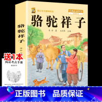 [配套人教版-完整版1本]骆驼祥子+考点 [正版]骆驼祥子和海底两万里七年级下册必读课外书原著书老舍钢铁是怎样炼成的人教