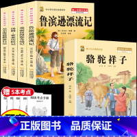 [5本]六下4本+骆驼祥子 [正版]鲁滨逊漂流记六年级下册必读的课外书快乐读书吧尼尔斯骑鹅旅行记爱丽丝梦游仙境原著完整版