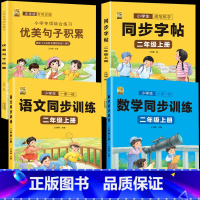 [二年级上册]同步字帖+语数同步训练+注音优美 [正版]二年级下册语文同步练字帖人教版小学生一类二类字每日打卡硬笔书法学