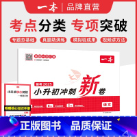 语文 小学升初中 [正版]小升初冲刺分类新卷三步分类练真题小升初总复习分类试卷小升初真题新卷语文数学英语名校冲刺历年真题