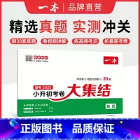 英语 小学升初中 [正版]25新小升初总复习分类试卷 小学毕业升学考卷大集结 语文数学英语小升初真题试卷小学毕业升学考试