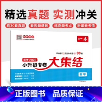 数学 小学升初中 [正版]25新小升初总复习分类试卷 小学毕业升学考卷大集结 语文数学英语小升初真题试卷小学毕业升学考试