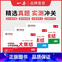 套装 小学升初中 [正版]25新小升初总复习分类试卷 小学毕业升学考卷大集结 语文数学英语小升初真题试卷小学毕业升学考试