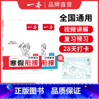 [衔接套装]语文+数学 小学四年级 [正版]25语文数学英语寒假作业衔接训练 阅读囗算练字帖 语文数学寒假训练语文寒假阅