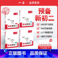 语文+数学(RJ)+英语+物理 八年级/初中二年级 [正版]2025预备新初二八年级数学语文英语物理阅读方法技巧初中语数