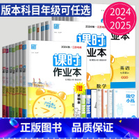 数学 人教南通专用 九年级下 [正版]2024课时作业本七年级八年级九年级上册下册数学语文英语化学物理八上七下苏科版苏教