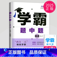 英语 九年级下 译林版 九年级/初中三年级 [正版]2024学霸题中题数学英语物理化学七年级上册八年级下册九年级上苏科版