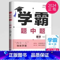 数学 九年级上 苏科版 九年级/初中三年级 [正版]2024学霸题中题数学英语物理化学七年级上册八年级下册九年级上苏科