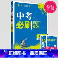 中考数学 [正版]2024新版初中必刷题九年级上册下册数学英语化学物理九下人教版苏科版苏教版沪教江苏初三必刷题9年级上学
