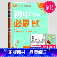 化学 九年级下 鲁教版 [正版]2024新版初中必刷题九年级上册下册数学英语化学物理九下人教版苏科版苏教版沪教江苏初三必