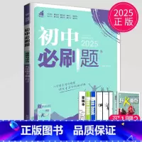 政治 九年级上 人教版 [正版]2024新版初中必刷题九年级上册下册数学英语化学物理九下人教版苏科版苏教版沪教江苏初三必