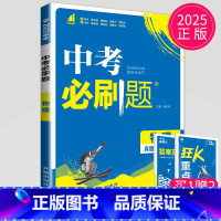 中考物理 [正版]2024新版初中必刷题九年级上册下册数学英语化学物理九下人教版苏科版苏教版沪教江苏初三必刷题9年级上学