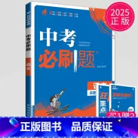 中考语文 [正版]2024新版初中必刷题九年级上册下册数学英语化学物理九下人教版苏科版苏教版沪教江苏初三必刷题9年级上学